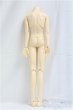 画像2: SD17BOY/ボディ/BJD　球体関節人形 I-25-11-30-290-KD-ZI (2)
