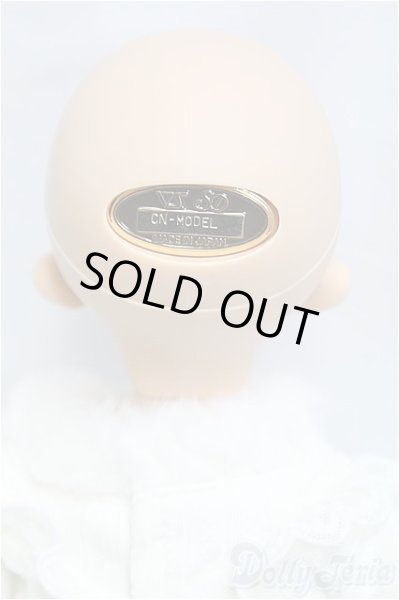 画像5: SDM女の子/コーディネートモデルF-60/BJD　球体関節人形 I-25-11-30-295-KD-ZI (5)