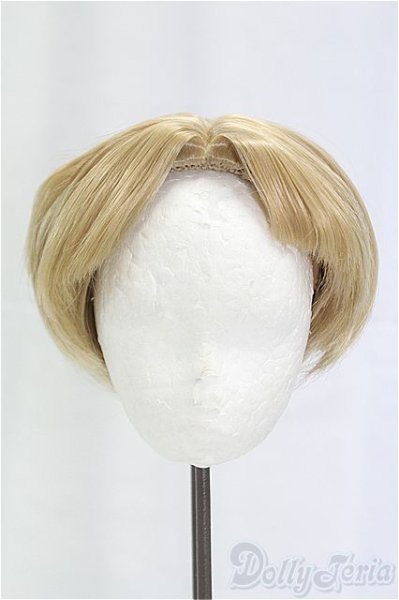 画像1: 8-9inch/ウィッグ/インチ　BJD　MJD　ドール用 I-25-11-30-201-KD-ZI (1)