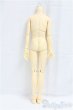 画像2: SDGrBOY/ボディ/BJD　球体関節人形 I-25-11-30-288-KD-ZI (2)