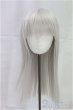 画像1: 8-9inch/ウィッグ I-25-12-07-192-KD-ZI (1)