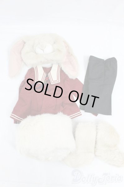 画像1: SD/OF：バニーロレッタセット I-25-12-14-222-KD-ZI (1)