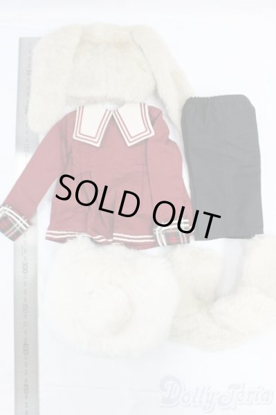 画像2: SD/OF：バニーロレッタセット I-25-12-14-222-KD-ZI (2)