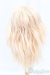 画像2: 9-10inch/ウィッグ I-25-12-14-244-KD-ZI (2)