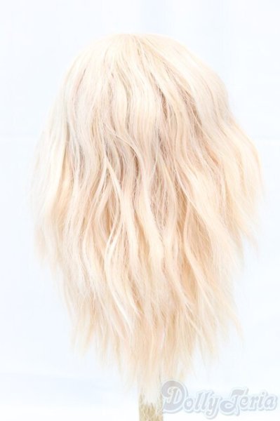 画像2: 9-10inch/ウィッグ I-25-12-14-244-KD-ZI (2)