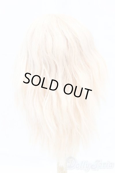 画像2: 9-10inch/ウィッグ I-25-12-14-244-KD-ZI (2)