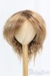 画像1: 9-10inch/ウィッグ I-25-12-14-247-KD-ZI (1)