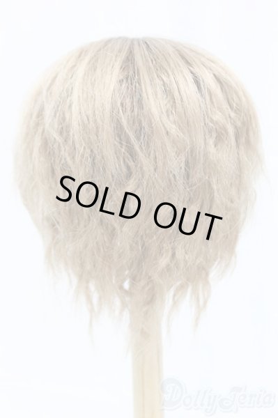 画像2: 9-10inch/ウィッグ I-25-12-14-247-KD-ZI (2)