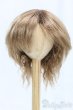 画像1: 9-10inch/ウィッグ I-25-12-14-248-KD-ZI (1)