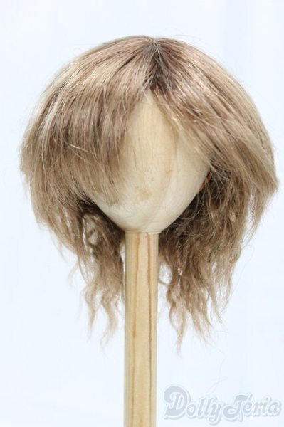 画像1: 9-10inch/ウィッグ I-25-12-14-248-KD-ZI (1)