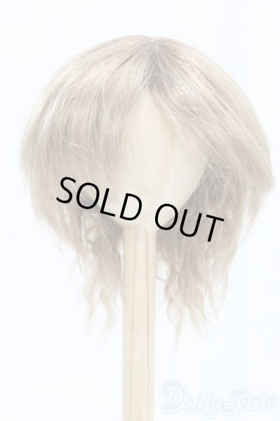 画像1: 9-10inch/ウィッグ I-25-12-14-248-KD-ZI (1)