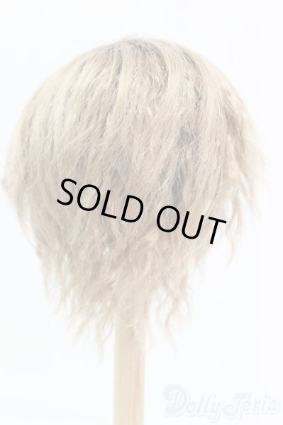 画像2: 9-10inch/ウィッグ I-25-12-14-248-KD-ZI (2)