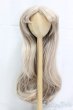 画像2: ウィッグ/9-10inch:DeeRibbon様製/インチ　BJD　MJD　ドール用 I-25-12-21-065-KD-ZI (2)