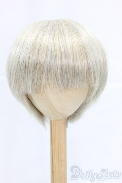 画像1: 9-10inch/ウィッグ I-25-12-28-087-KD-ZI (1)