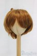 画像1: 9-10inch/ウィッグ/インチ　BJD　MJD　ドール用 I-26-01-04-195-KD-ZI (1)