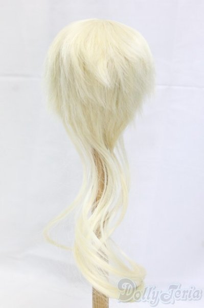 画像2: 9-10inch/ウィッグ/インチ　BJD　MJD　ドール用 I-26-01-04-193-KD-ZI (2)