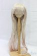 画像1: 9-10inch/ウィッグ/インチ　BJD　MJD　ドール用 I-25-12-28-146-KD-ZI (1)