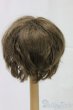 画像2: 8-9inch/ウィッグ/インチ　BJD　MJD　ドール用 I-25-12-28-148-KD-ZI (2)