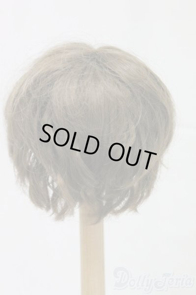 画像2: 8-9inch/ウィッグ/インチ　BJD　MJD　ドール用 I-25-12-28-148-KD-ZI (2)