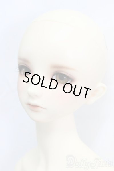 画像2: SDGrB/フルチョイスF-56/BJD　球体関節人形 I-25-12-28-255-KD-ZI (2)