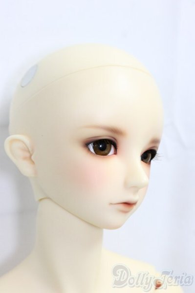 画像3: SDGrB/フルチョイスF-56/BJD　球体関節人形 I-25-12-28-255-KD-ZI (3)