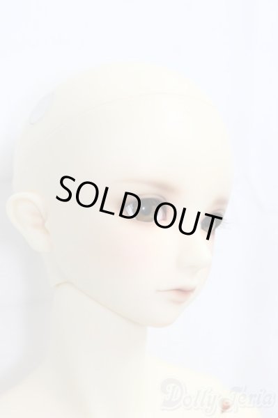 画像3: SDGrB/フルチョイスF-56/BJD　球体関節人形 I-25-12-28-255-KD-ZI (3)