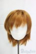 画像1: 8-9inch/ウィッグ/インチ　BJD　MJD　ドール用 I-25-12-28-284-KD-ZI (1)