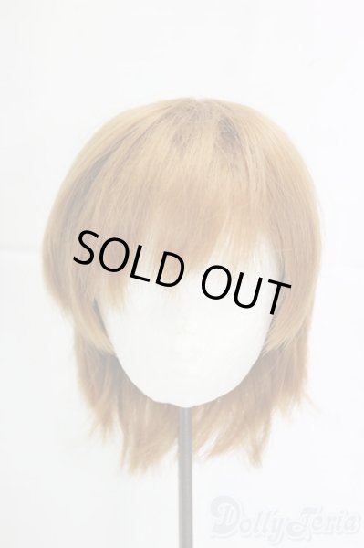 画像1: 8-9inch/ウィッグ/インチ　BJD　MJD　ドール用 I-25-12-28-284-KD-ZI (1)