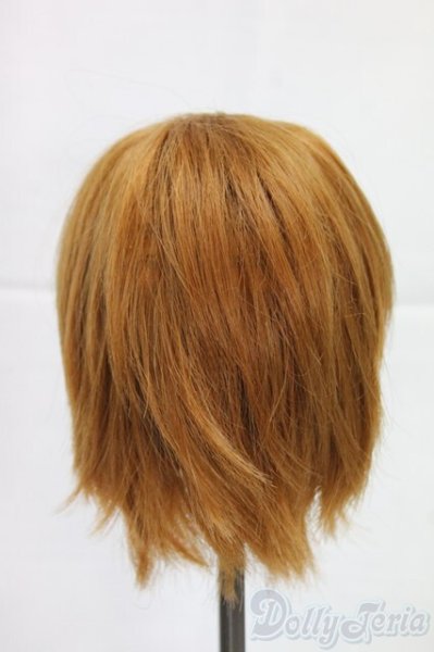 画像2: 8-9inch/ウィッグ/インチ　BJD　MJD　ドール用 I-25-12-28-284-KD-ZI (2)