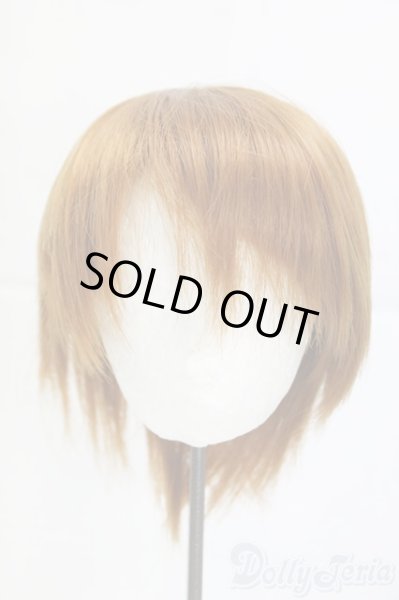 画像1: 8-9inch/ウィッグ/インチ　BJD　MJD　ドール用 I-25-12-28-286-KD-ZI (1)