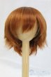 画像1: 8inch/ウィッグ　BJD CROBI/インチ　BJD　MJD　ドール用 I-26-01-04-197-KD-ZI (1)