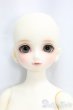 画像1: SDM女の子/コーディネートモデル白蓮/BJD　球体関節人形 I-25-12-28-257-KD-ZI (1)