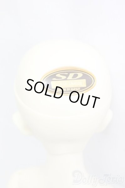 画像4: SDM女の子/コーディネートモデル白蓮/BJD　球体関節人形 I-25-12-28-257-KD-ZI (4)