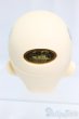 画像4: SD/フルチョイス:F-58ヘッド/BJD　球体関節人形 I-25-12-28-258-KD-ZI (4)