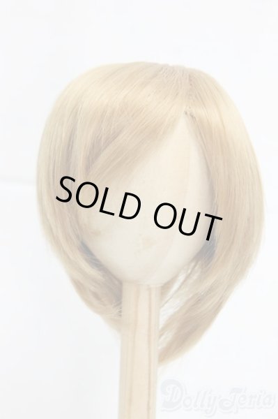 画像1: 9-10inch/ウィッグ/インチ　BJD　MJD　ドール用 I-25-12-28-293-KD-ZI (1)