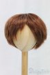 画像1: 9-10inch/ウィッグ/インチ　BJD　MJD　ドール用 I-26-01-04-151-KD-ZI (1)