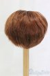 画像2: 9-10inch/ウィッグ/インチ　BJD　MJD　ドール用 I-26-01-04-151-KD-ZI (2)