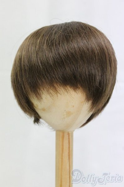 画像1: 9-10inch/ウィッグ/インチ　BJD　MJD　ドール用 I-26-01-04-152-KD-ZI (1)