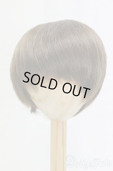 画像1: 9-10inch/ウィッグ/インチ　BJD　MJD　ドール用 I-26-01-04-152-KD-ZI (1)