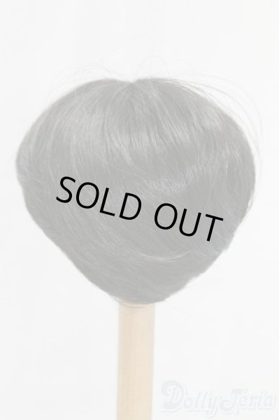 画像2: 8-9inch/ウィッグ/インチ　BJD　MJD　ドール用 I-26-01-04-153-KD-ZI (2)