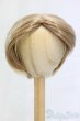 画像1: 9inch/ウィッグ/インチ　BJD　MJD　ドール用 I-26-01-04-157-KD-ZI (1)