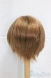 画像2: 9-10inch/ウィッグ/インチ　BJD　MJD　ドール用 I-26-01-11-053-KD-ZI (2)