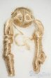 画像2: 9-10inch/ウィッグ Y-26-01-21-181-KD-ZY (2)
