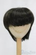 画像1: 8.5inch/ウィッグ/インチ　BJD　MJD　ドール用 I-26-01-25-016-KD-ZI (1)