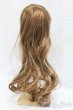 画像2: 9inch/ウィッグ I-26-01-18-139-KD-ZI (2)