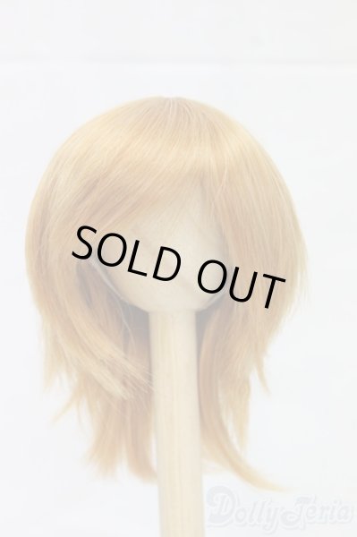 画像1: 7-8inch/ウィッグ I-26-01-25-235-YB-ZI (1)