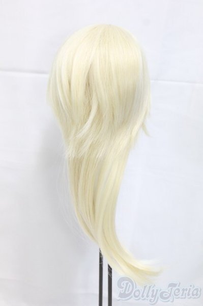 画像2: 8.5-9inch/ウィッグ I-26-02-01-085-KD-ZI (2)