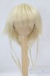 画像1: 7-8inch/ウィッグ I-26-02-08-042-KD-ZI (1)