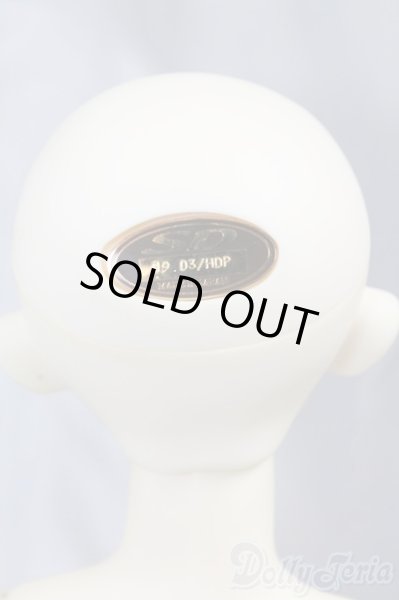 画像8: SDGIRL/リーゼロッテ the Best of the Bests Ver.2019 I-26-02-08-051-KD-ZI (8)