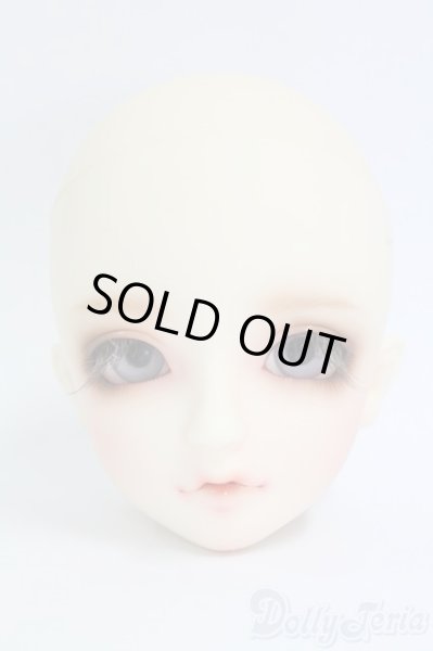 画像1: SD/フルチョイス F-54ヘッド I-26-02-08-070-KD-ZI (1)